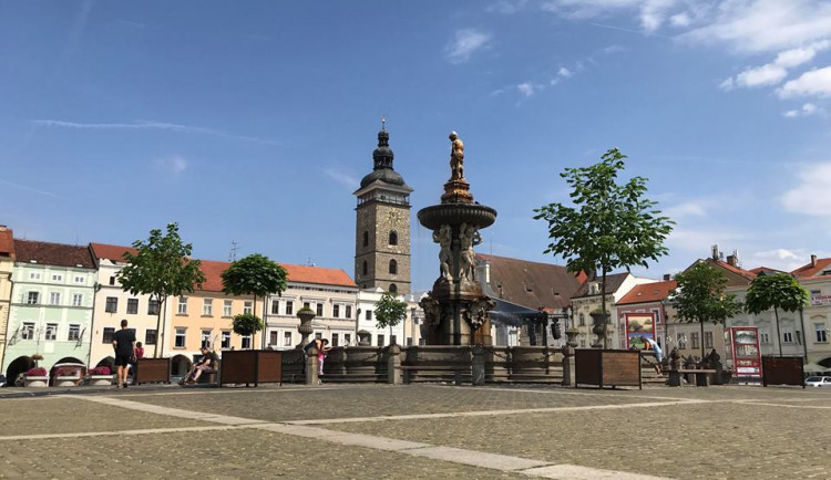 Stromy na náměstí se lidem líbí.