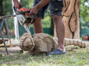 Před areálem Zoo Hluboká probíhá dřevosochařské sympozium pod názvem Obři z trávy.