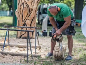 Před areálem Zoo Hluboká probíhá dřevosochařské sympozium pod názvem Obři z trávy.