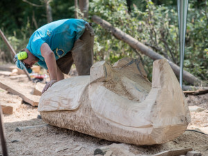 Před areálem Zoo Hluboká probíhá dřevosochařské sympozium pod názvem Obři z trávy.