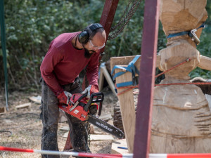 Před areálem Zoo Hluboká probíhá dřevosochařské sympozium pod názvem Obři z trávy.
