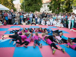 Slavnosti pořádá město Lišov již mnoho let.