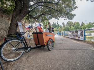 Festival si lidé užili i přes déšť