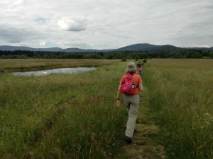 Zlatá stezka. To je síť atraktivních turistických tras na „Zelené střeše Evropy“