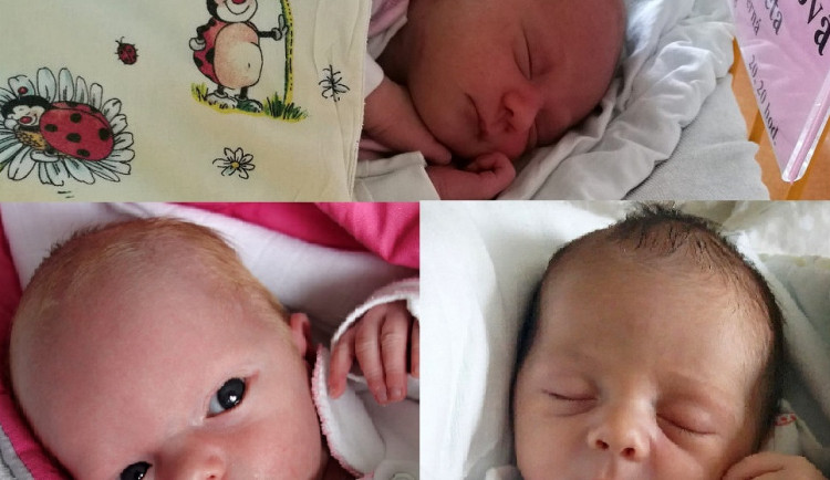 Červencová drbňátka: Aneta Kuthanová, Adéla Hriňová a Alena Růžičková.