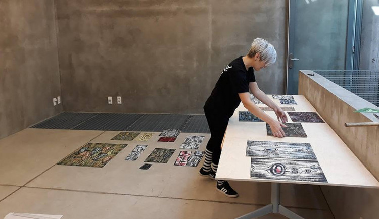 Při dnešní vernisáži výstavy obrazů Moniky Vojtové ve výstavní síni Karmášek se bude jedno její dílo dražit.