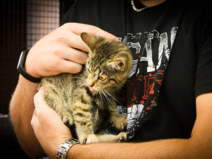 Mia, Lili a Matýsek