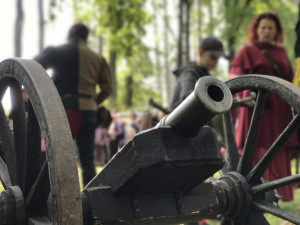 Už tuto sobotu se můžete vydat na Trocnovské slavnosti do Borovan. Připraven je bohatý program pro děti i dospělé, po celou dobu akce je zajištěno i něco na zub. Vstup na akci je zdarma.