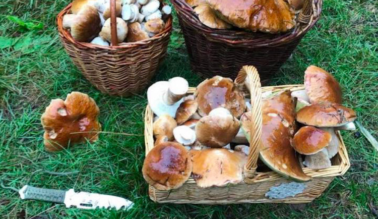 Ilustrační fotografie