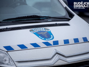 Jihočeští celníci mají nový přístroj na zjištění drog a výbušnin