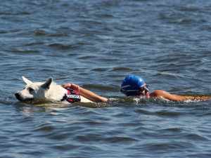 Dopomoc unavenému plavci.