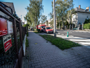 Balisety v Lidické třídě v Českých Budějovicích.