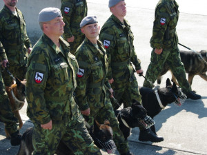 Jednotka se psy při nácviku slavnostní přehlídky.