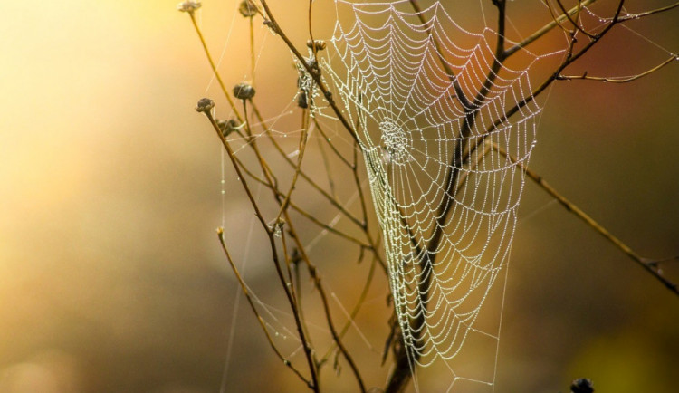 Po nedávných tropech spadnou teploty i pod deset stupňů Celsia