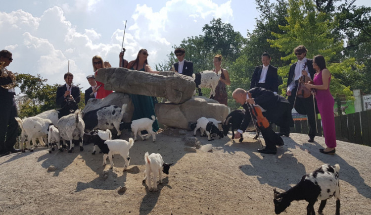 Jihočeská filharmonie natočila klip v Jihočeské zoo Hluboká nad Vltavou.