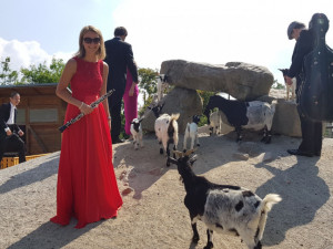 Jihočeská filharmonie natočila klip v Jihočeské zoo Hluboká nad Vltavou.