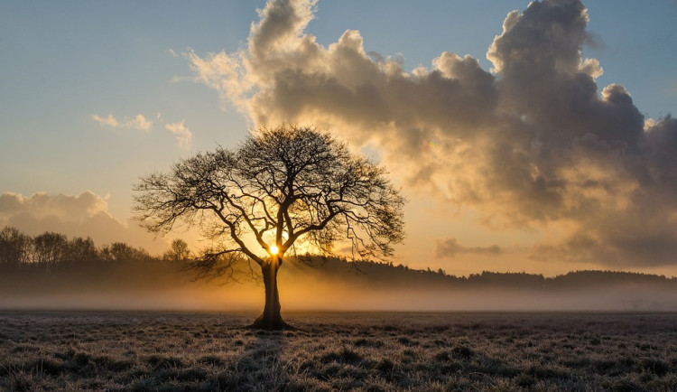 Ilustrační fotografie