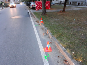 Dopravní nehoda ve Vodňanech, při které zemřel spolujezdec a řidič utrpěl středně těžké zranění.