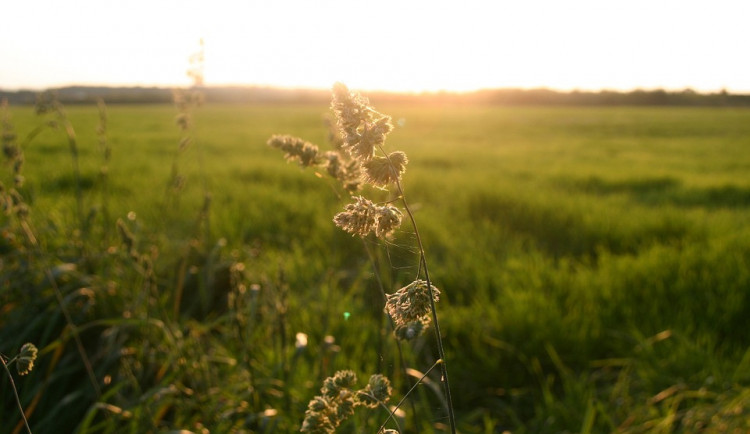 Ilustrační fotografie