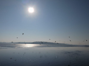 Foto: Klára Demelová