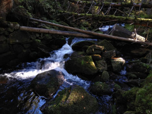 Foto: Václav Hošna