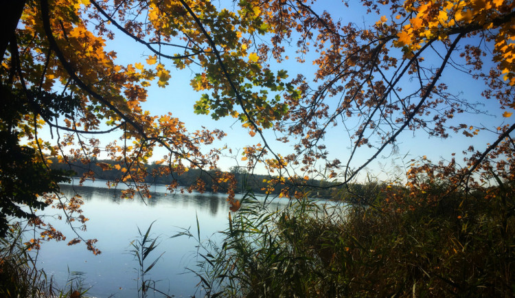 Rybník v barvách podzimu.