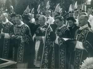 Řezníci byli fachmani.