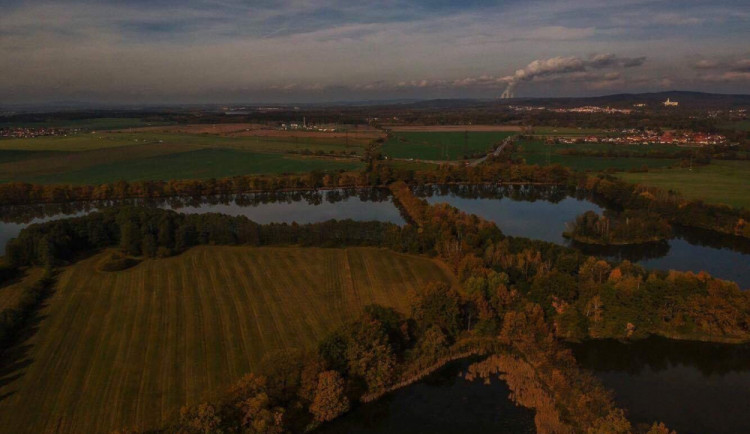 Jihočeský kraj plánuje odbahnění významných rybníků Domin a Bažina