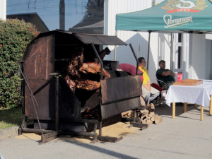 Slavnostní otevření