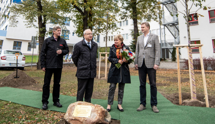 Na sázení lip republiky v Nemocnice České Budějovice se podílela také hejtmanka