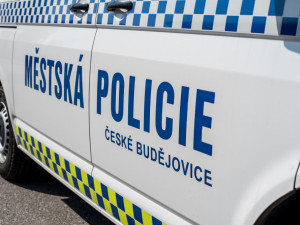 Mladíci se bavili trháním květin z truhlíků v centru Budějc. Celou dobu je sledovala kamera strážníků
