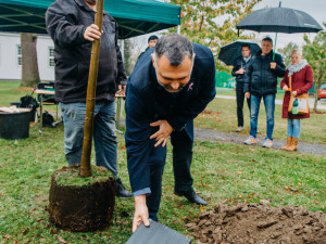 Pod zasazeným stromem nechali v Plané vzkaz pro budoucí generace
