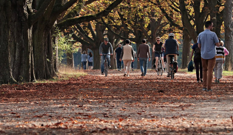 Ilustrační fotografie