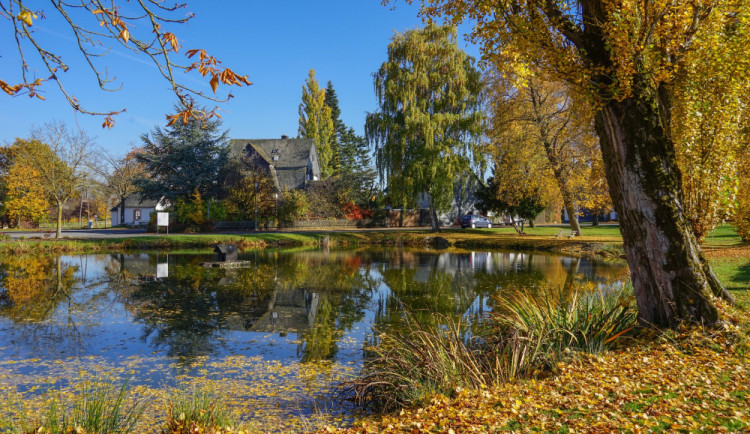 Ilustrační fotografie