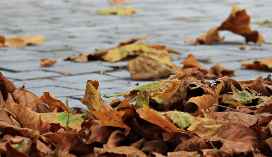 Ilustrační fotografie