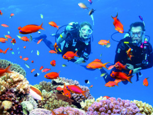 Kurzy potápění