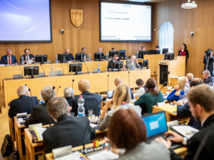 Ustavující zastupitelstvo