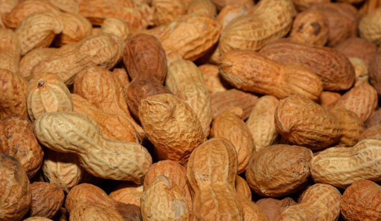 Ilustrační fotografie