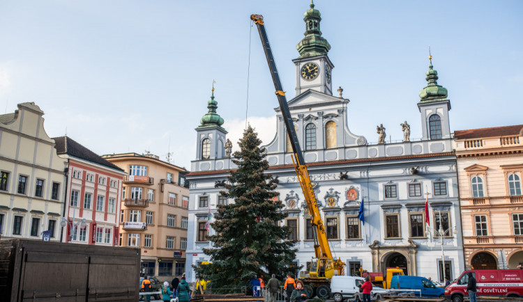 FOTO/ VIDEO: Vánoční stromeček už se chystá z Dobré Vody na budějcké náměstí