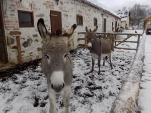 Pohádková kovárna