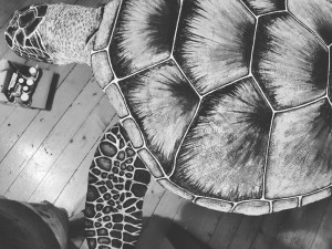 Želvy v Mlýnské stoce nejsou jen výkřikem do tmy. Představují projekt LOVE