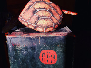 Želvy v Mlýnské stoce nejsou jen výkřikem do tmy. Představují projekt LOVE