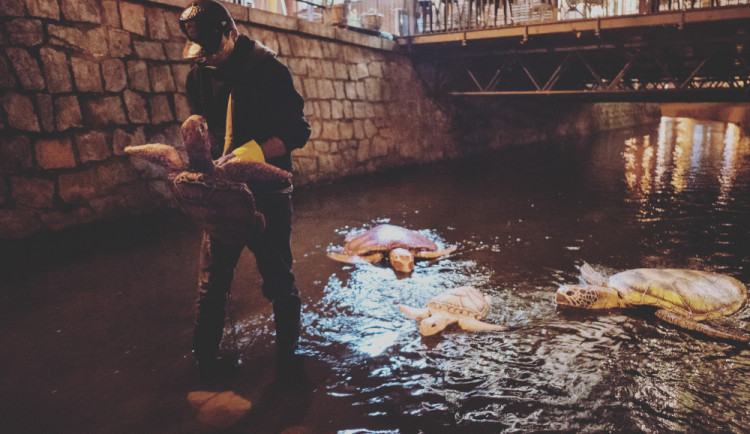 Želvy v Mlýnské stoce nejsou jen výkřikem do tmy. Představují projekt LOVE