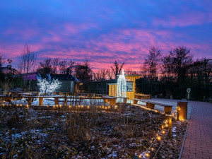 V Nasvícené zoo se objeví lední medvěd nebo tučňáci