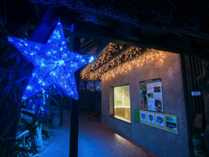 V Nasvícené zoo se objeví lední medvěd nebo tučňáci