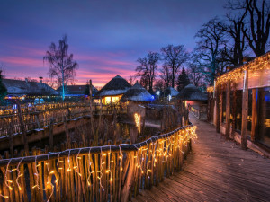 V Nasvícené zoo se objeví lední medvěd nebo tučňáci