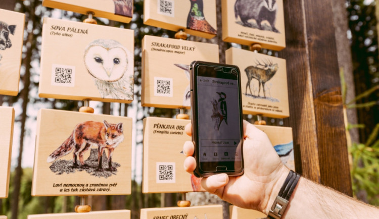 Mobilní apka Lesní svět