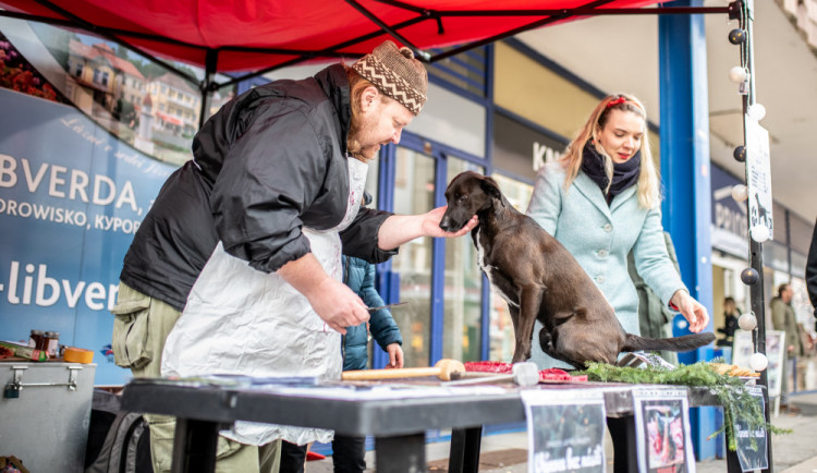 VIDEO: Na Lannovce se „prodávalo“ psí maso. Aktivisté upozorňují na paradox zabíjení kaprů