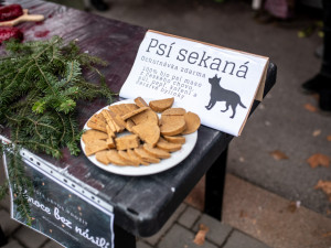 Psí sekaná