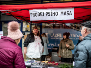 Prodej psího masa